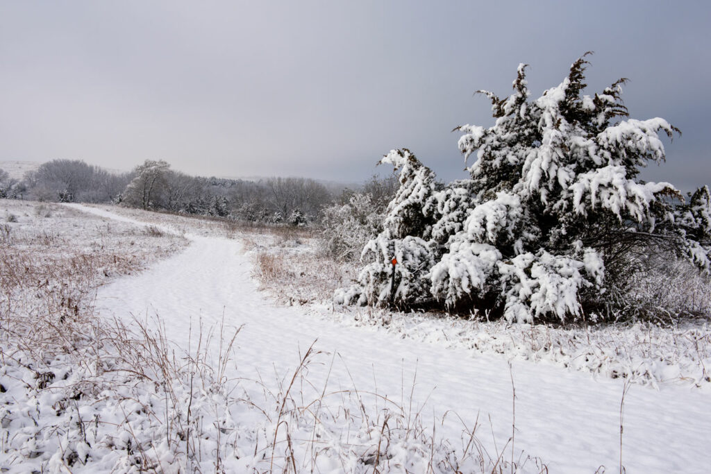 A trail winds its way through a snow-covered landscape.