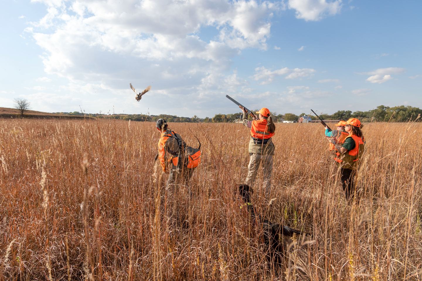 Read More: Know your safe zone of fire this upland bird season