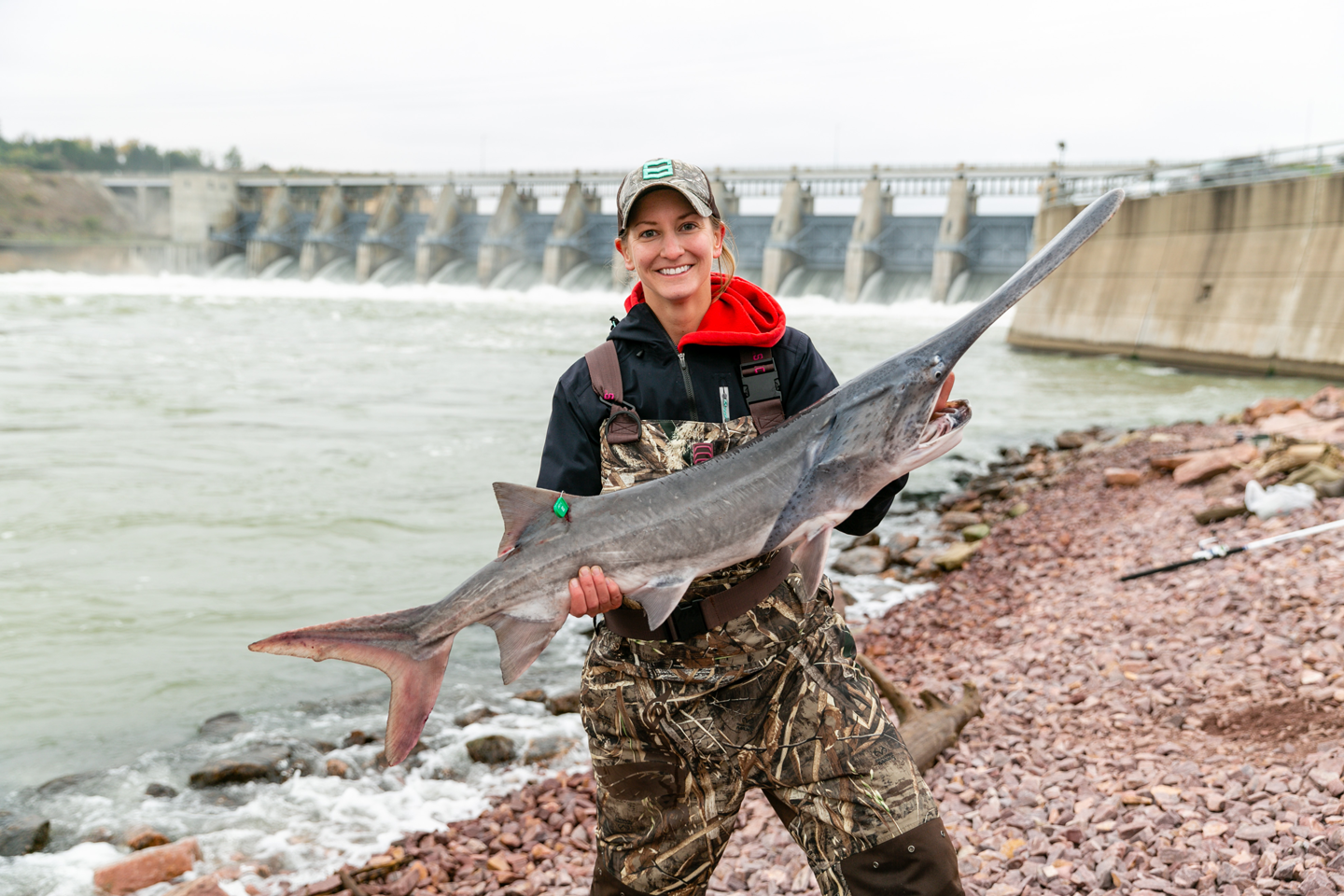 Paddlefish snagging permits accepted July 1-14