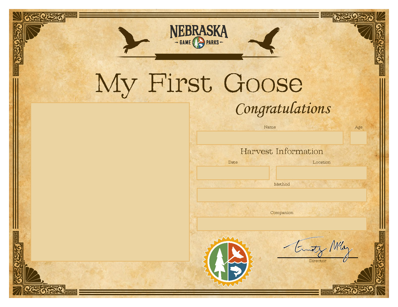 Certificate Goose