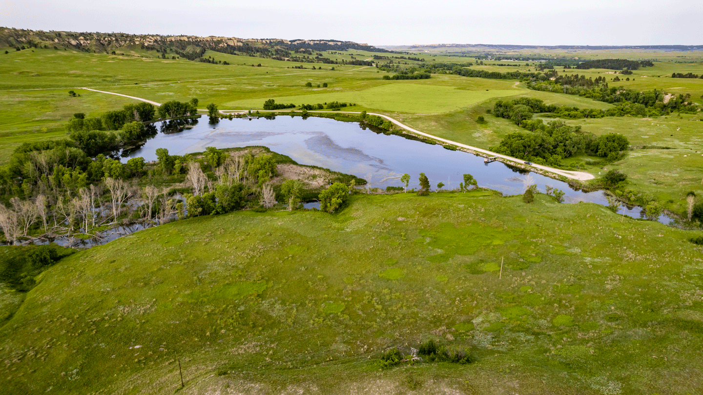 Aerial view of Carter P. Johnson Lake during summer