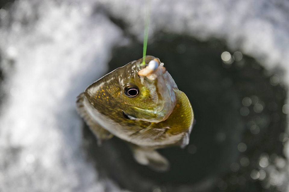 Take care of important ice-fishing prep now