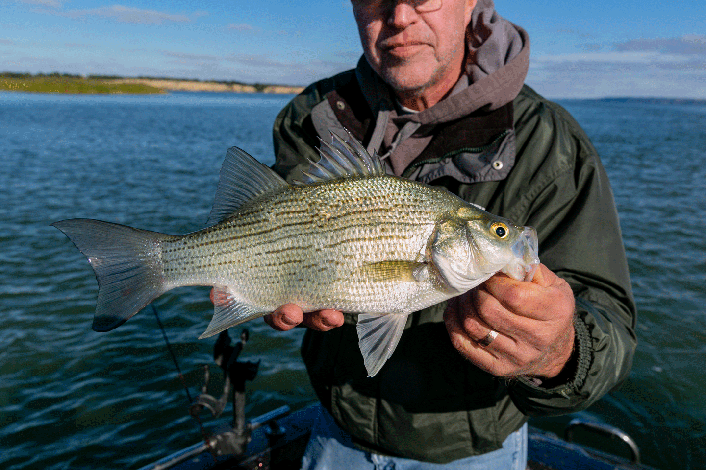 A man holds a walleye
