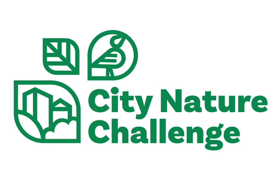 Document nature, help scientists during City Nature Challenge