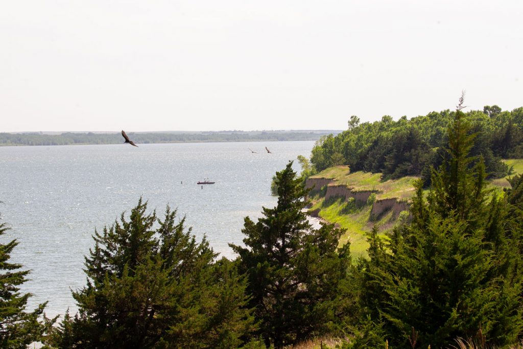 Scenic view of Swanson Reservoir from a trail overlook of the lake at the edge of a bluff lined with trees and soaring birds.