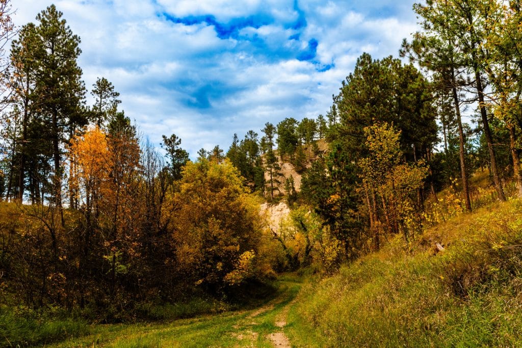 A service road courses through the autumn colors at Chadron Creek Ranch Wildlife Management Area in the Pine Ridge.