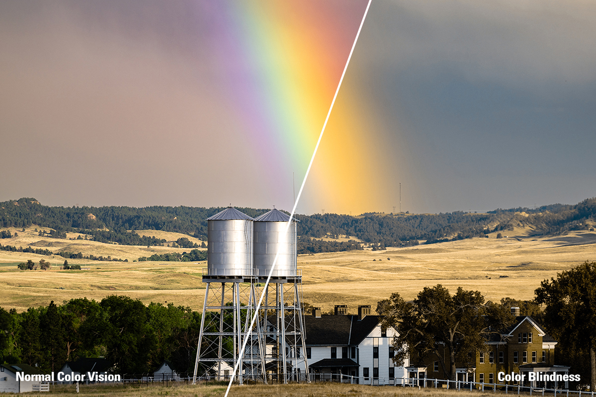 two photos are collaged together to show the difference in common sight vs. color deficient