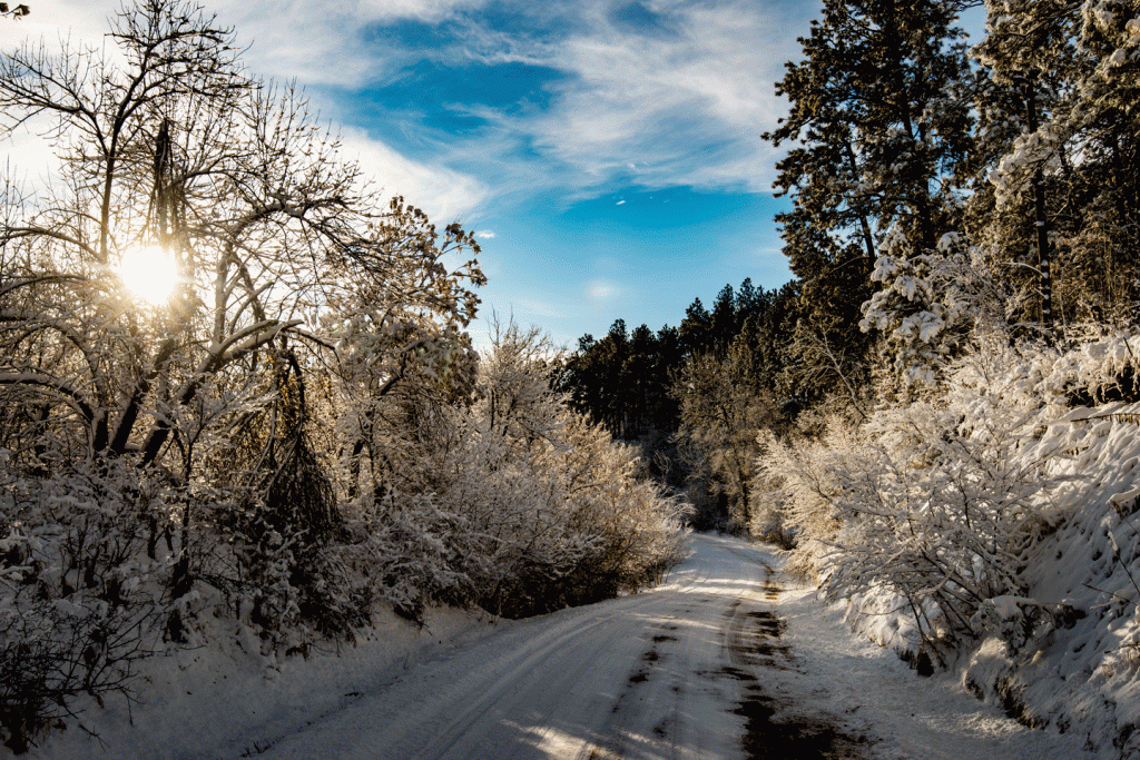 a snow-covered road glistens in the sun