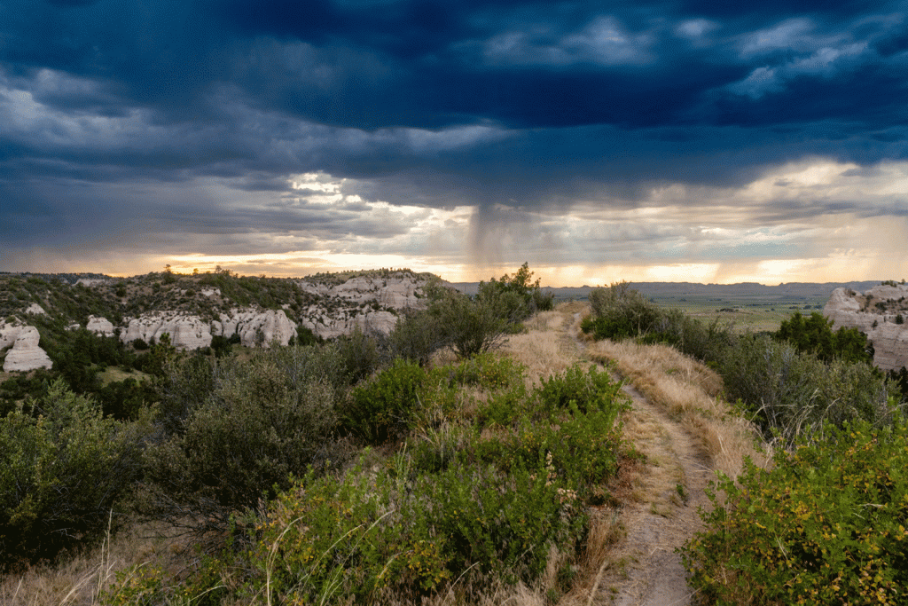 a trail heading into the distance under a rainy sky