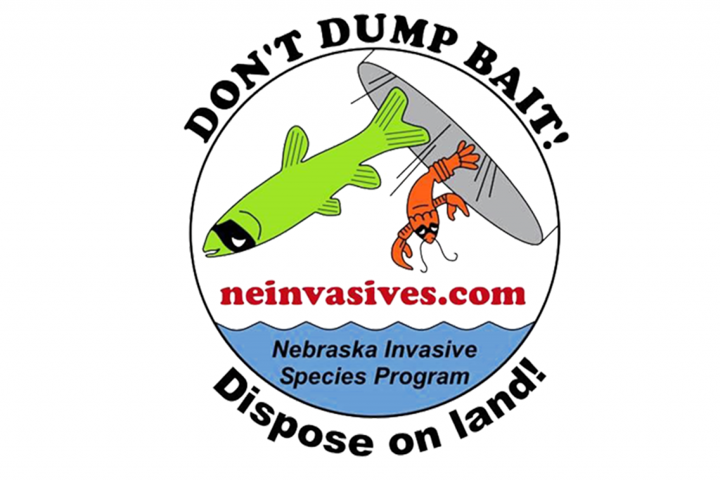 Don't dump bait graphic 