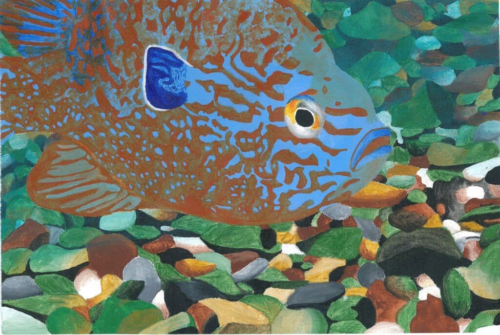 Deadline for Nebraska Fish Art Contestis Feb. 28