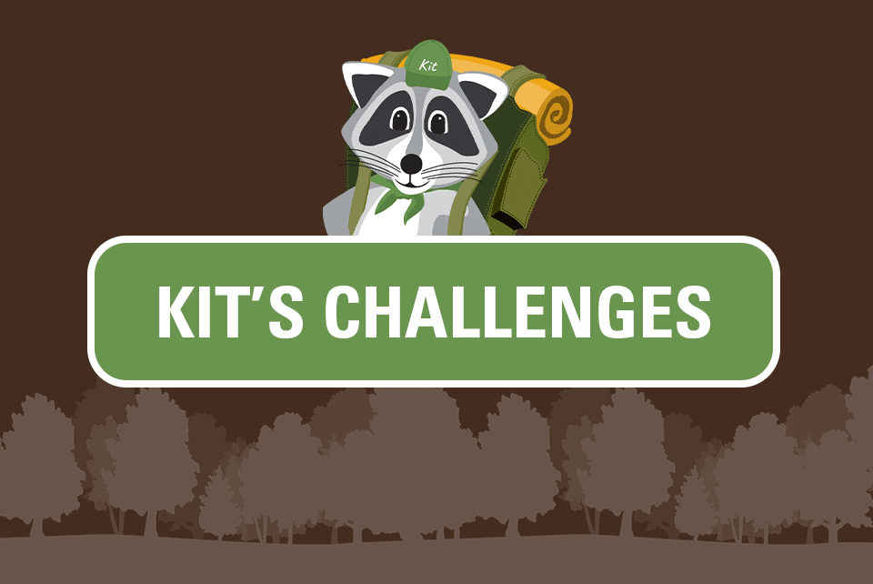 Graphic element for Kit's Challenges with a cartoon raccoon
