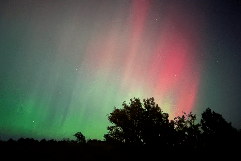 Northern lights glow above the trees at night.