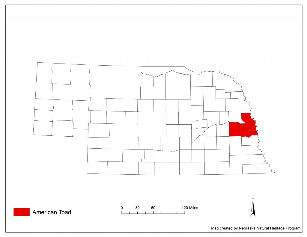 A range map indicating Nebraska counties in which the American toad has been found.