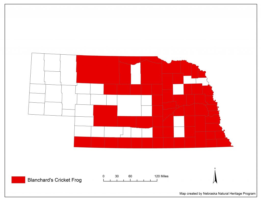 A range map indicating Nebraska counties in which the Blanchard's cricket frog has been found.