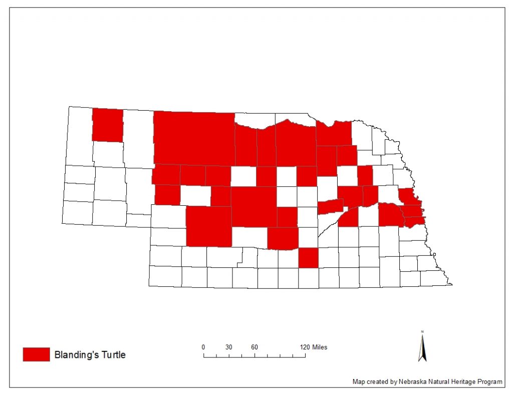 A range map indicating Nebraska counties in which the Blanding's turtle has been found.