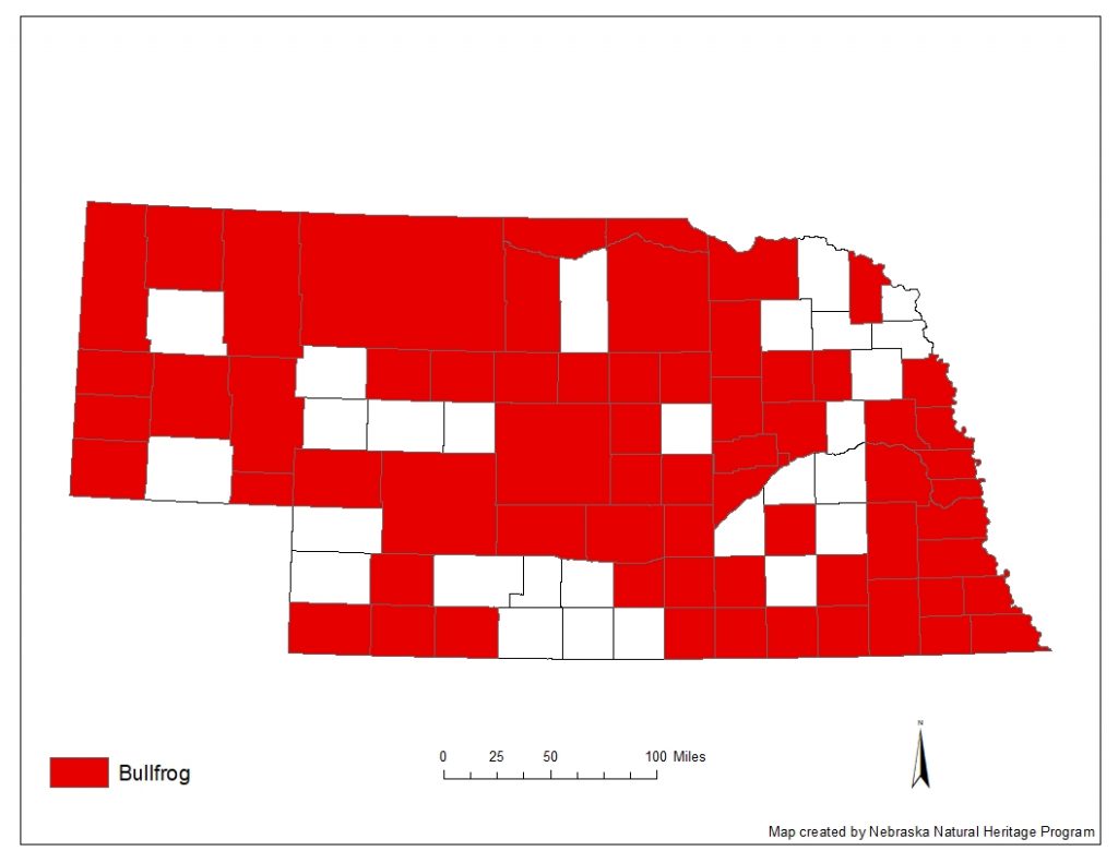 A range map indicating Nebraska counties in which the American bullfrog has been found.