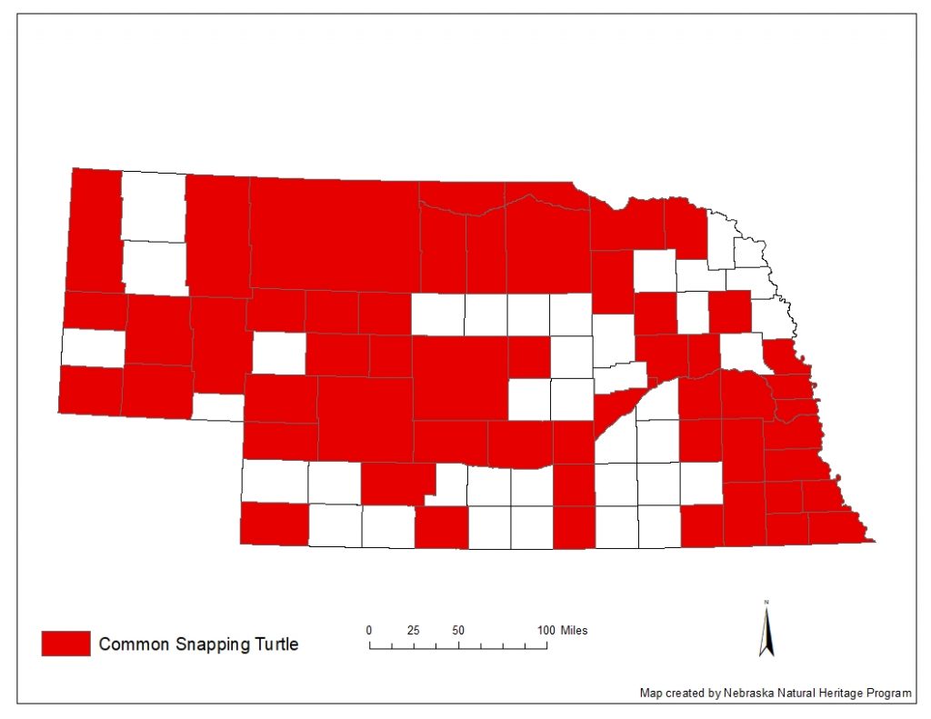 A range map indicating Nebraska counties in which the common snapping turtle has been found.