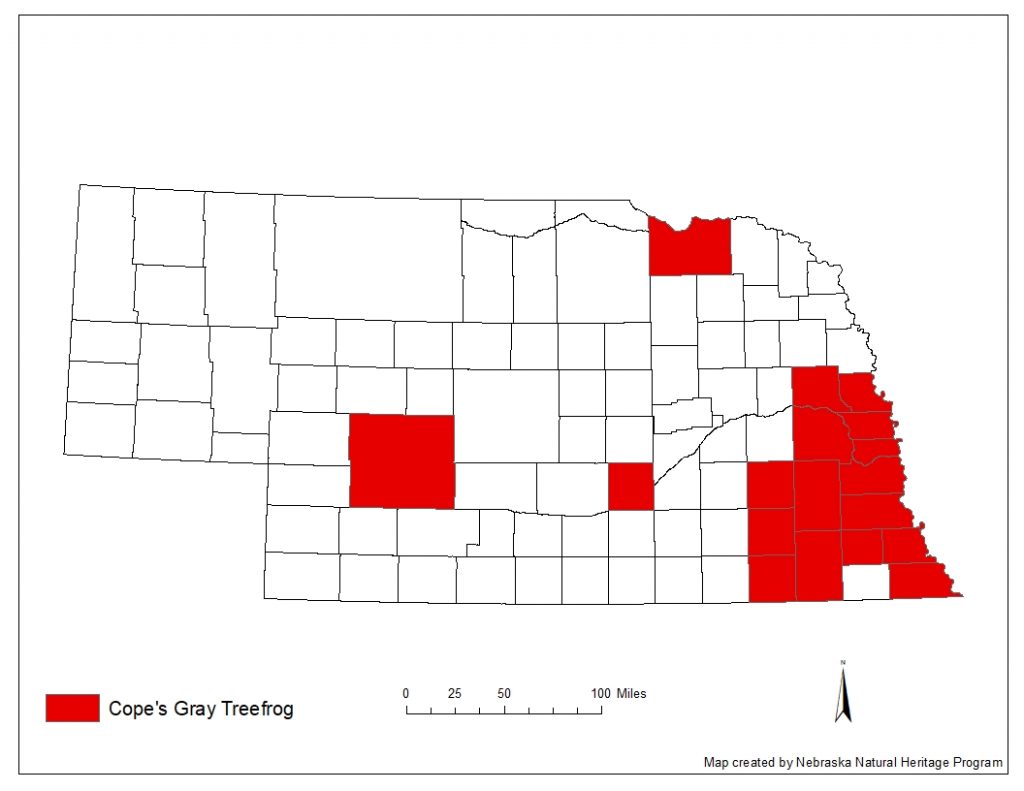 A range map indicating Nebraska counties in which the Cope's gray treefrog has been found.