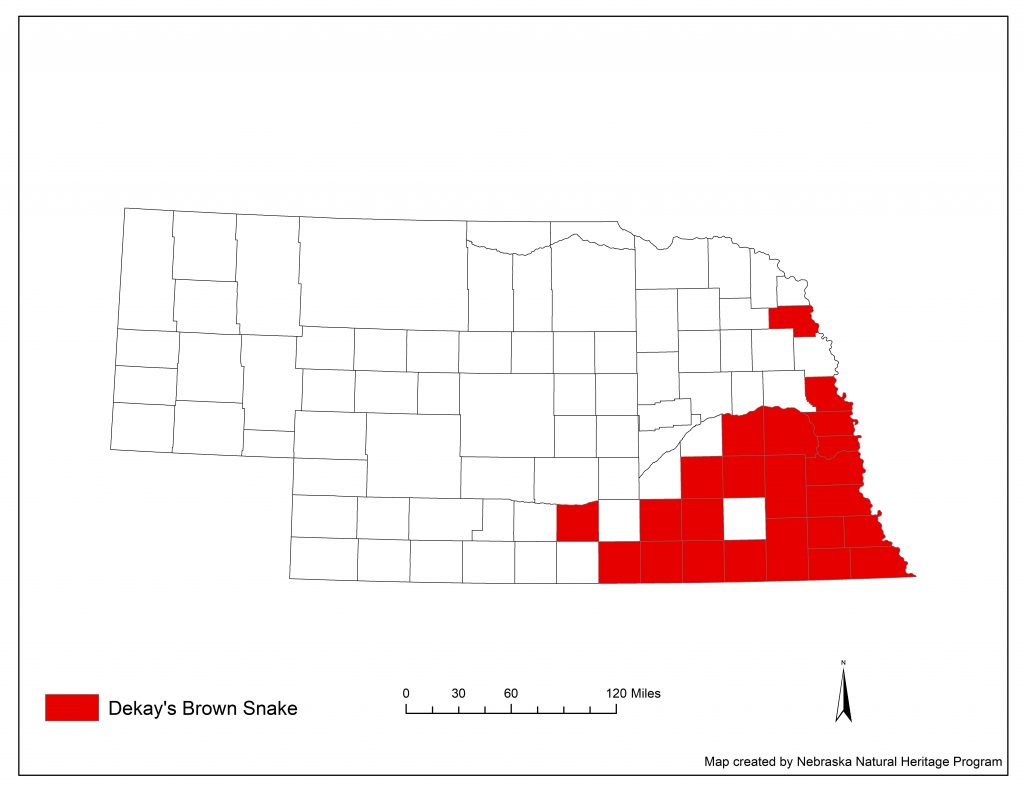 A range map indicating Nebraska counties in which the Dekay's brown snake has been found.