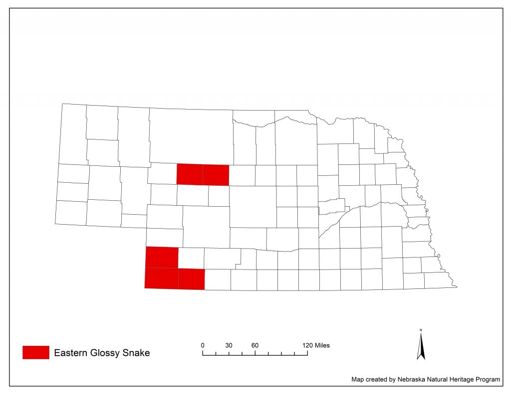 A range map indicating Nebraska counties in which the eastern glossy snake has been found.