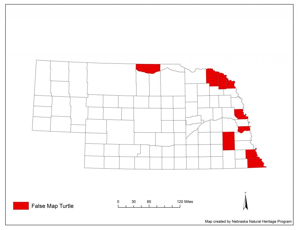 A range map indicating Nebraska counties in which the false map turtle has been found.