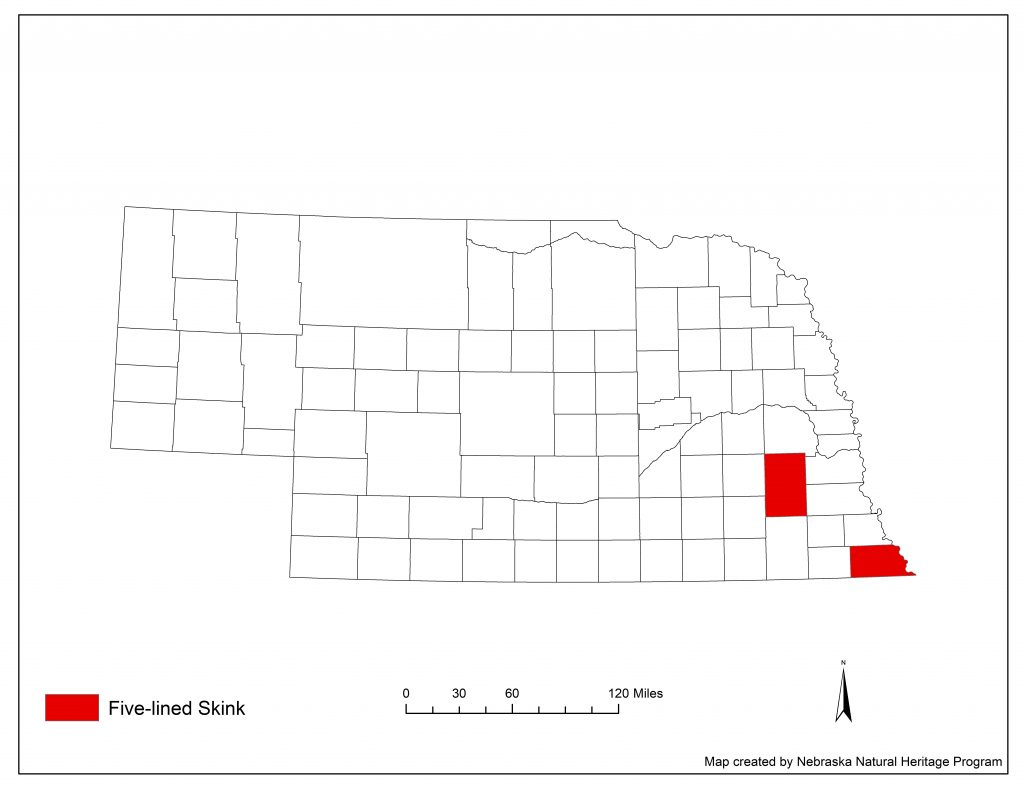 A range map indicating Nebraska counties in which the five-lined skink has been found.