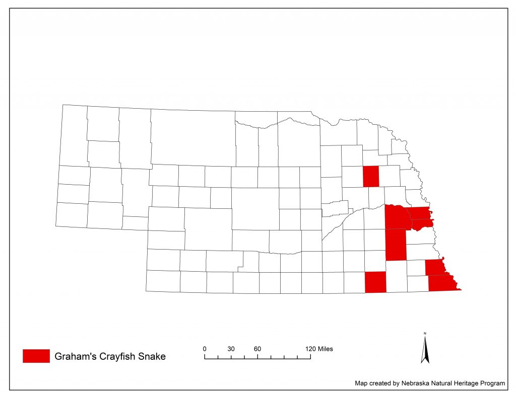 A range map indicating Nebraska counties in which the Graham's crayfish snake has been found.