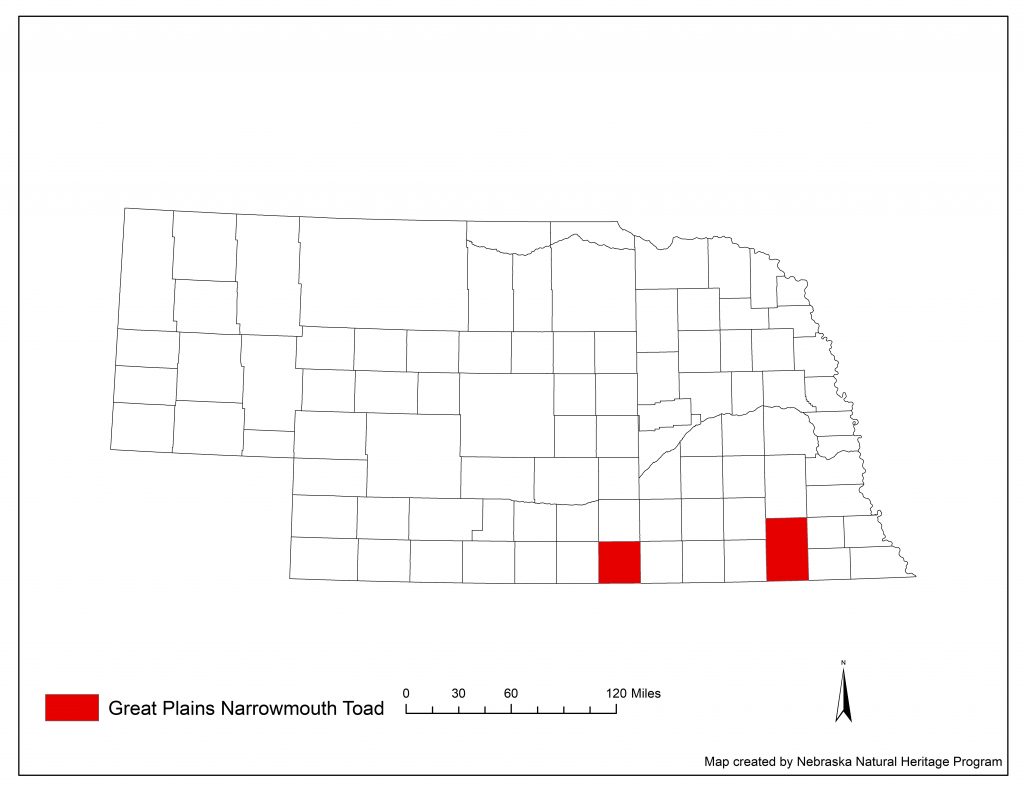 A range map indicating Nebraska counties in which the Great Plains narrowmouth toad has been found.