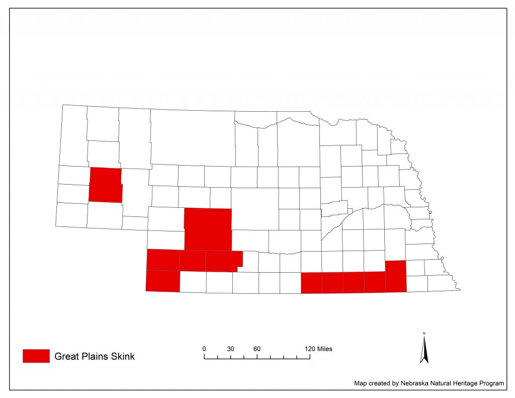 A range map indicating Nebraska counties in which the Great Plains skink has been found.