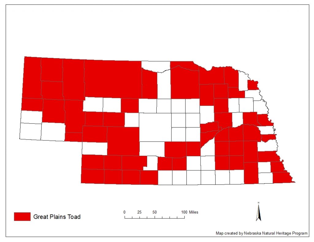 A range map indicating Nebraska counties in which the Great Plains toad has been found.