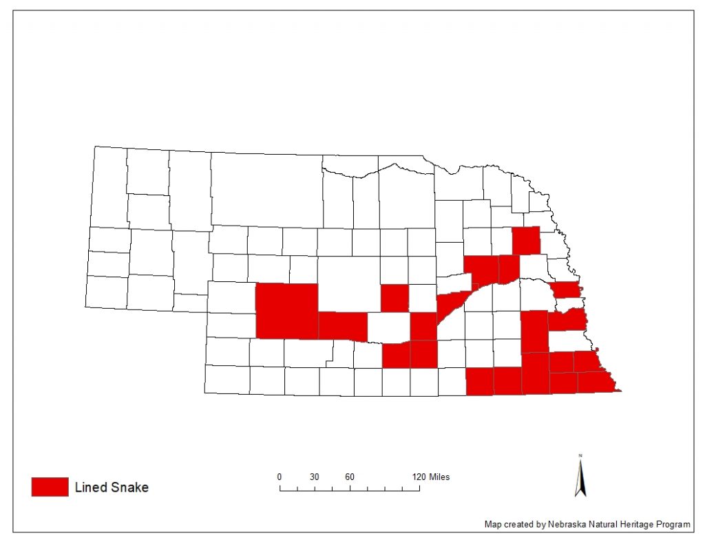 A range map indicating Nebraska counties in which the lined snake has been found.
