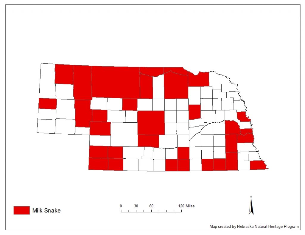A range map indicating Nebraska counties in which the milk snake has been found.