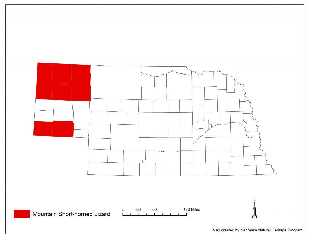 A range map indicating Nebraska counties in which the mountain short-horned lizard has been found.