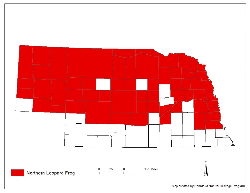 A range map indicating Nebraska counties in which the norther leopard frog has been found.