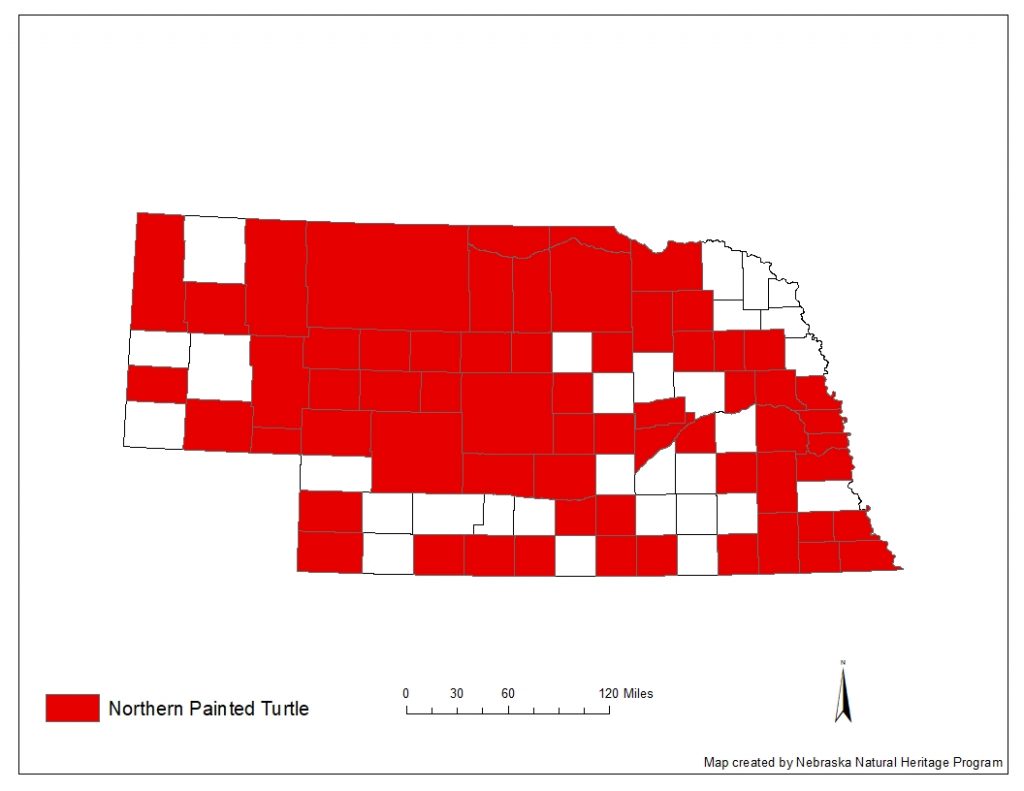 A range map indicating Nebraska counties in which the northern painted turtle has been found.