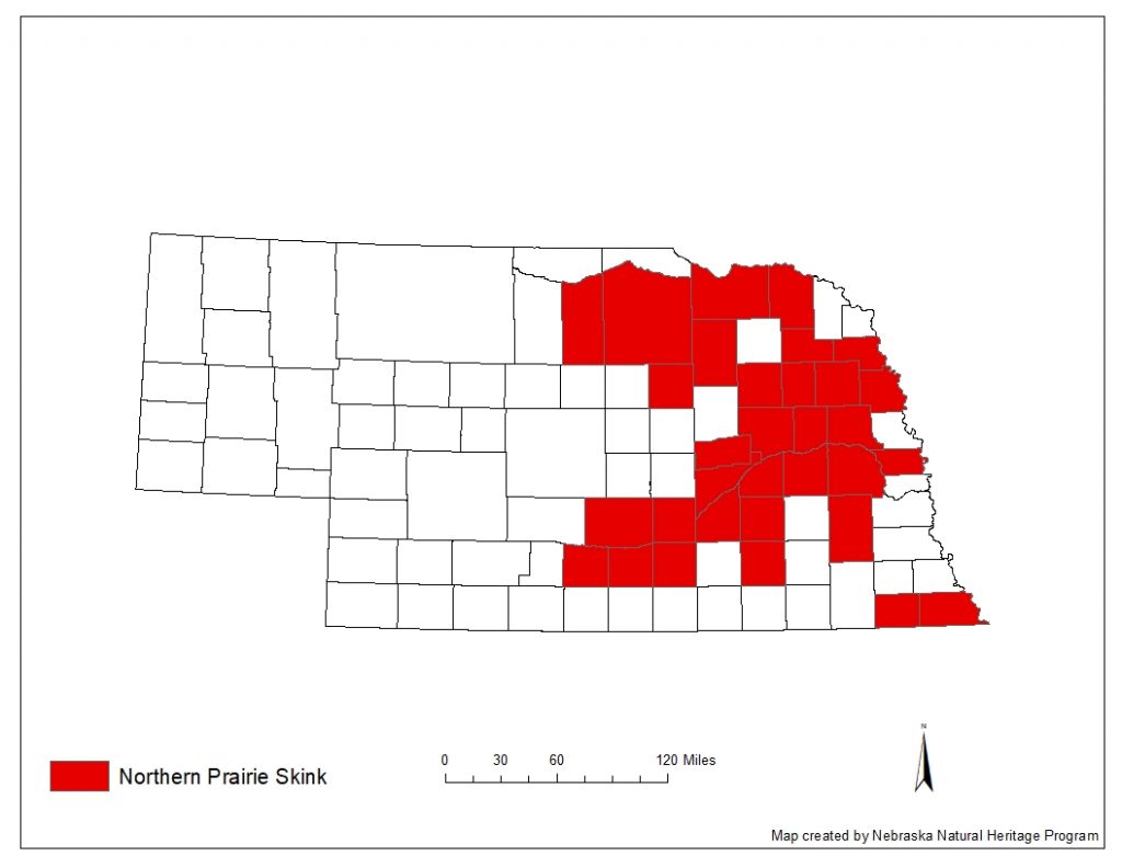 A range map indicating Nebraska counties in which the northern prairie skink has been found.