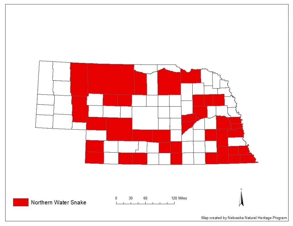 A range map indicating Nebraska counties in which the northern water snake has been found.