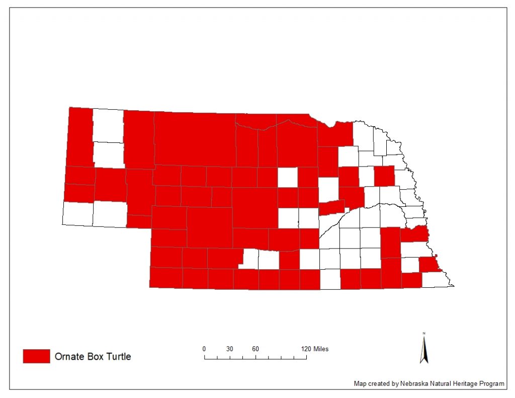 A range map indicating Nebraska counties in which the ornate box turtle has been found.