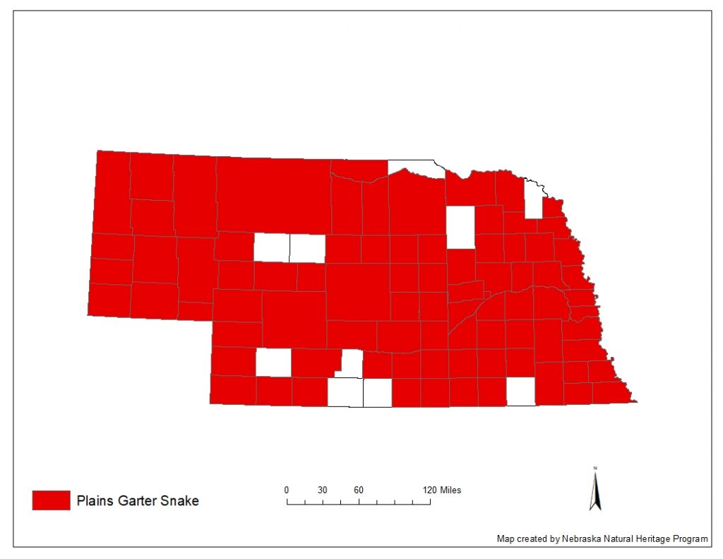 A range map indicating Nebraska counties in which the plains garter snake has been found.