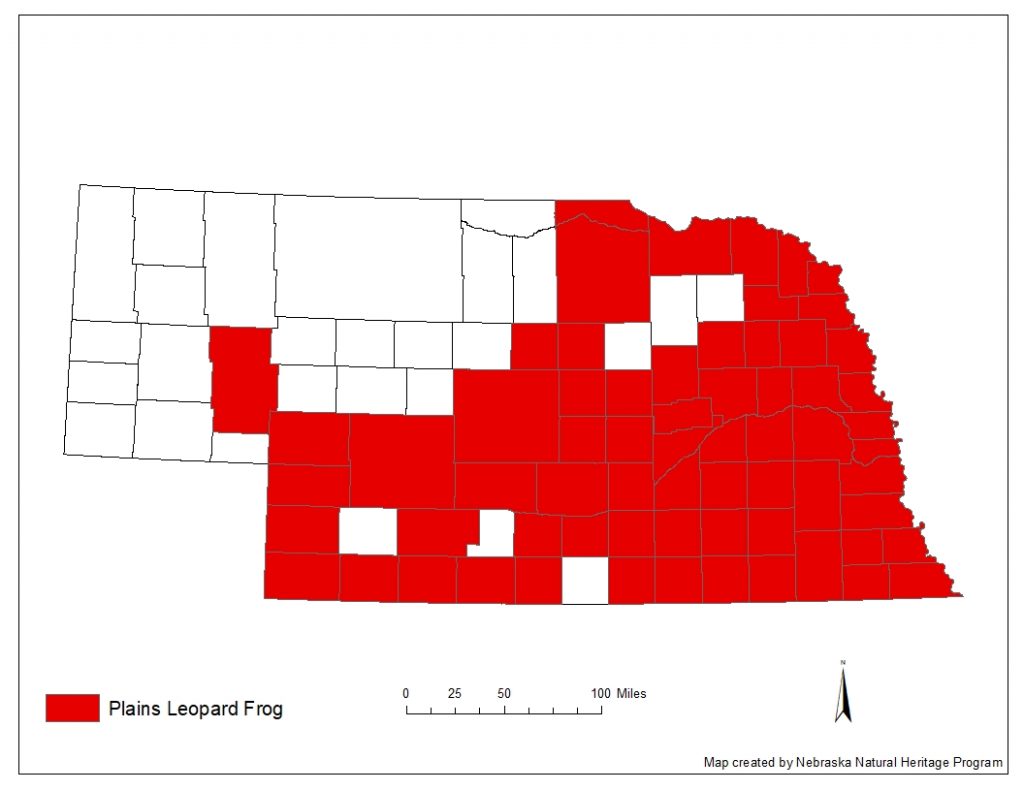 A range map indicating Nebraska counties in which the Plains leopard frog has been found.