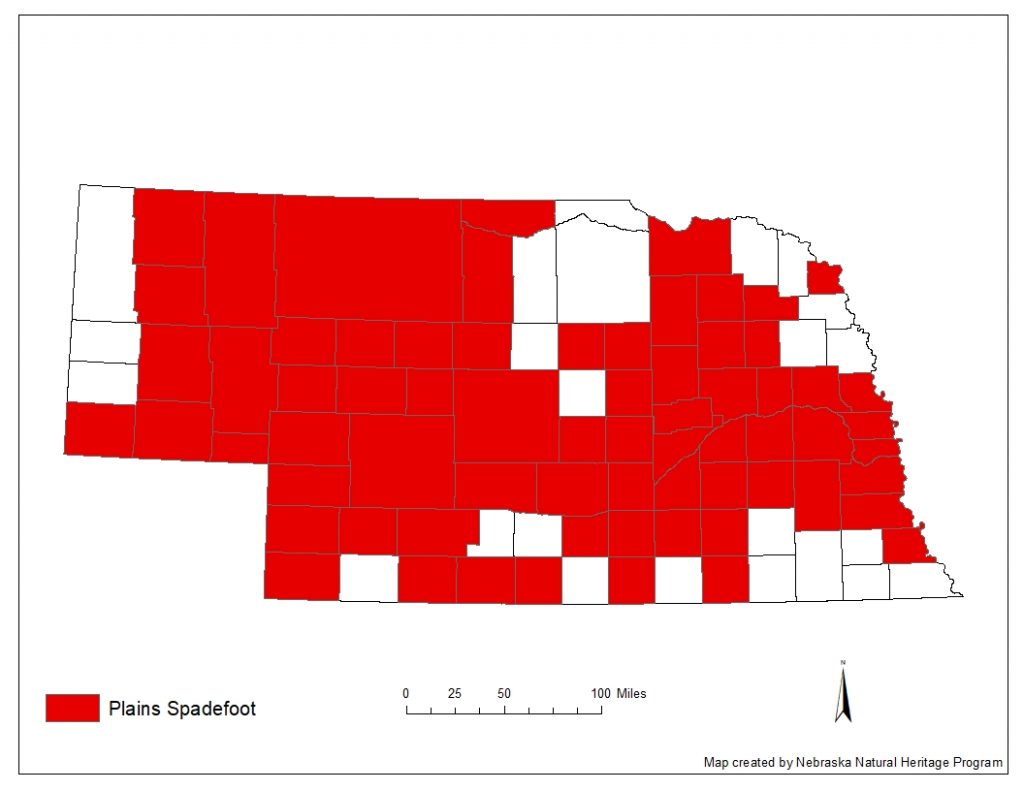 A range map indicating Nebraska counties in which the Plains spadefoot toad has been found.