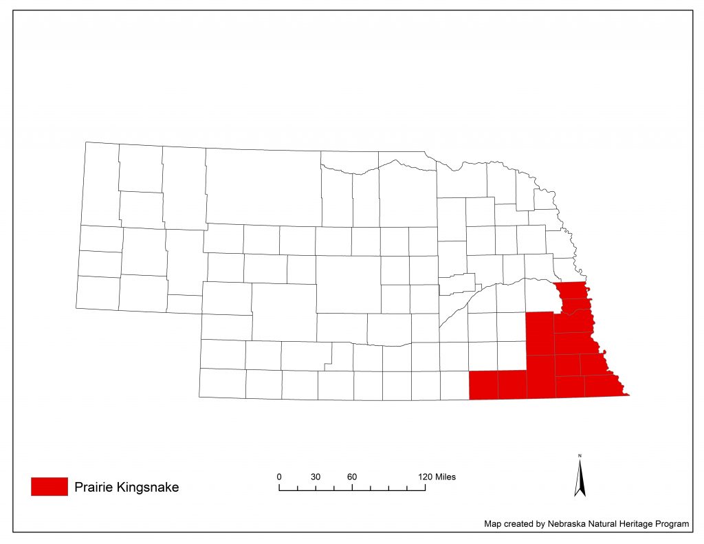 A range map indicating Nebraska counties in which the prairie kingsnake has been found.