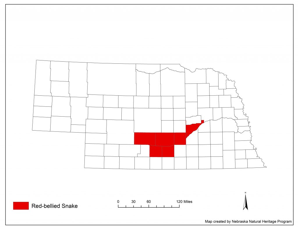 A range map indicating Nebraska counties in which the red-bellied snake has been found.