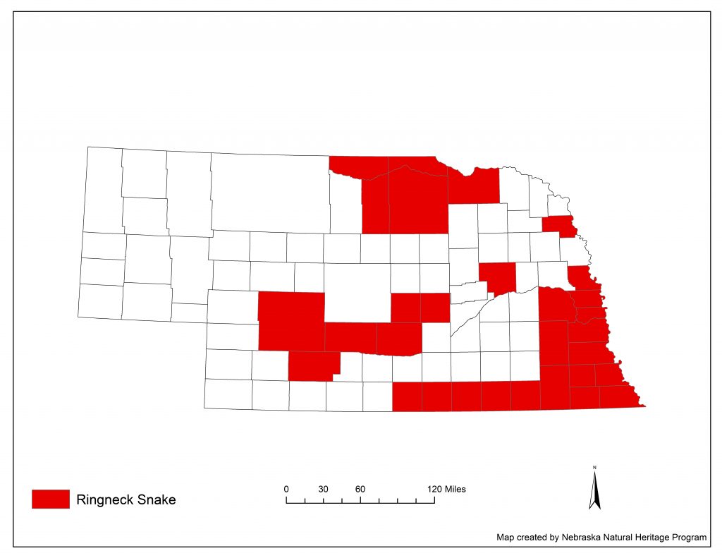 A range map indicating Nebraska counties in which the ringneck snake has been found.