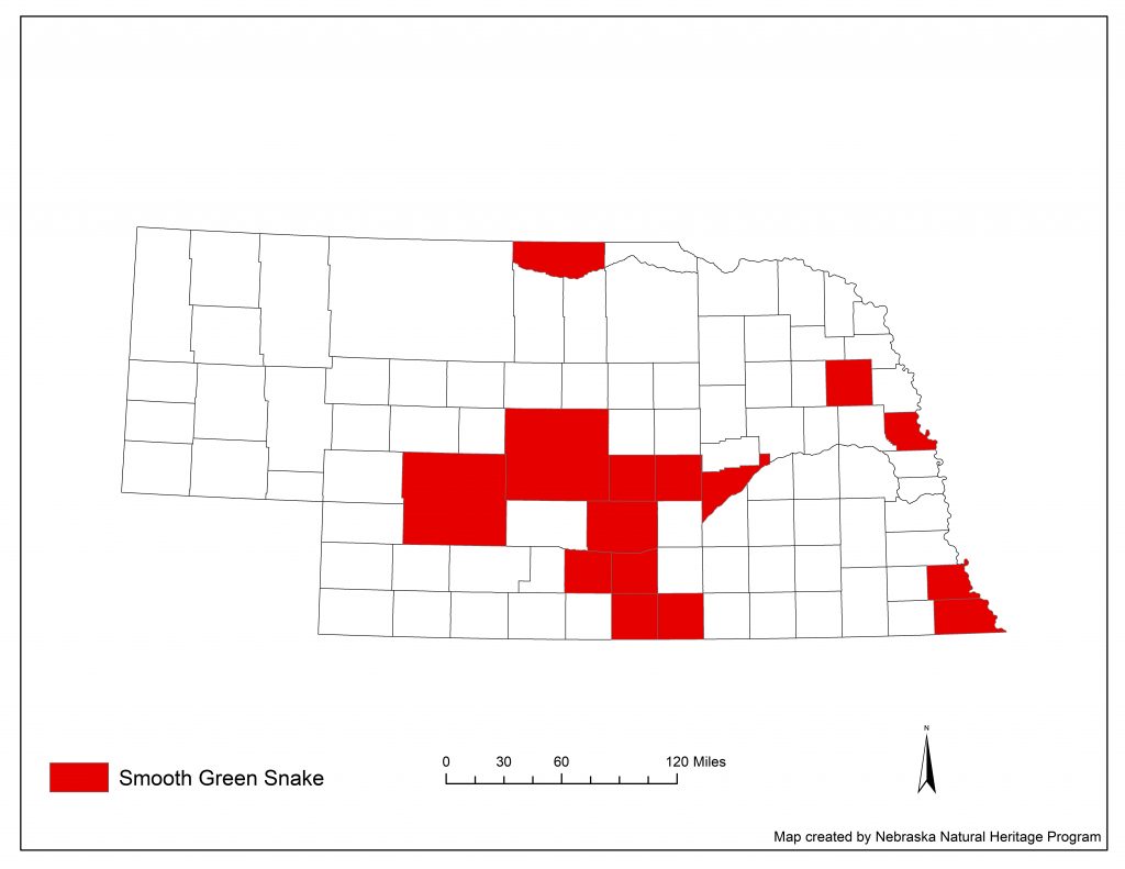 A range map indicating Nebraska counties in which the smooth green snake has been found.