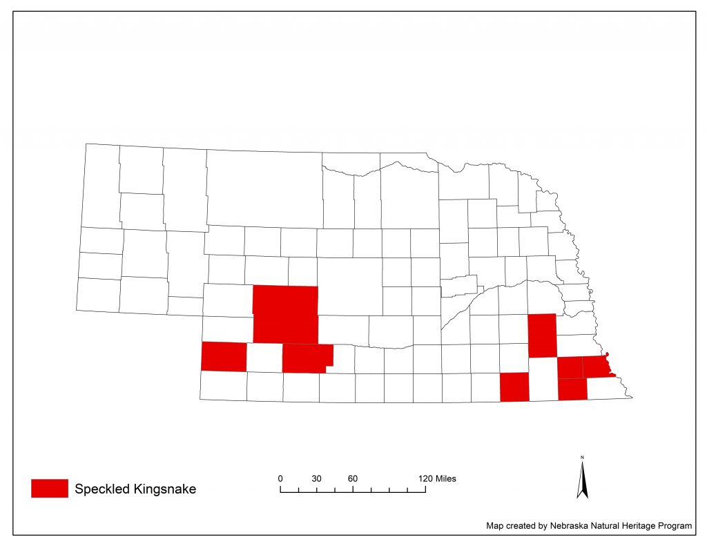 A range map indicating Nebraska counties in which the speckled kingsnake has been found.