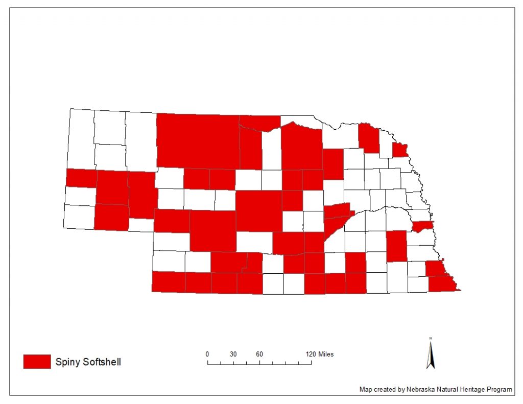 A range map indicating Nebraska counties in which the spiny softshell has been found.