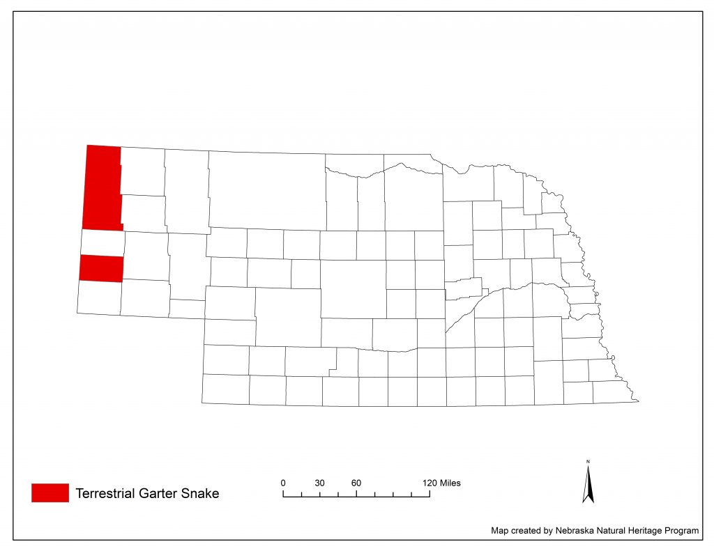 A range map indicating Nebraska counties in which the terrestrial garter snake has been found.