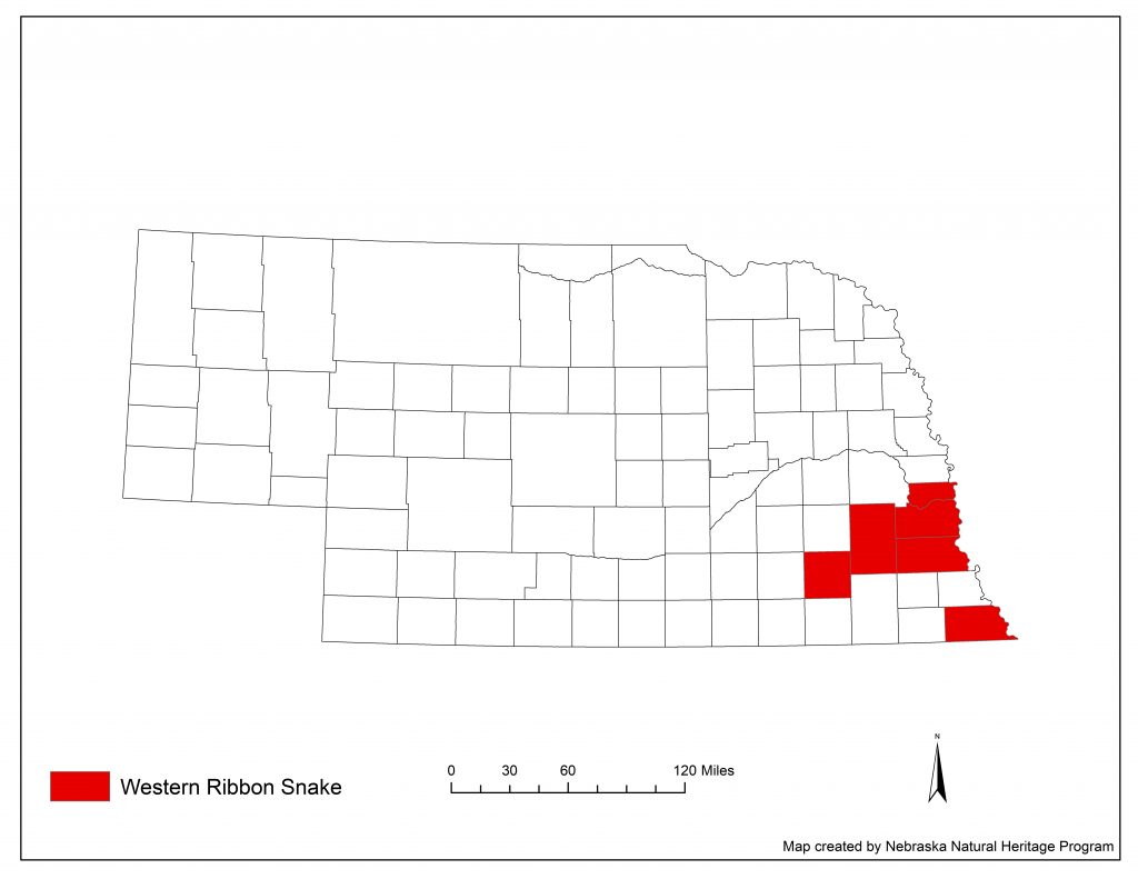 A range map indicating Nebraska counties in which the western ribbon snake has been found.